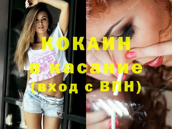 шишки Корсаков