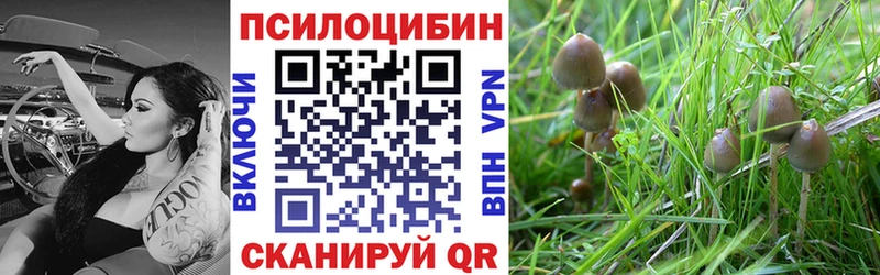 Псилоцибиновые грибы Magic Shrooms  купить наркоту  кракен зеркало  Нестеровская 